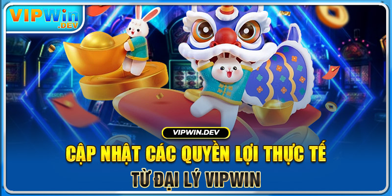 Cập nhật các quyền lợi thực tế từ đại lý Vipwin 