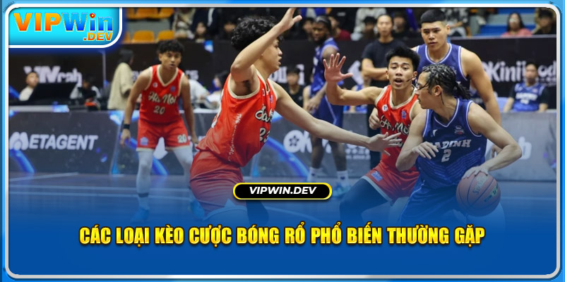 Các loại kèo cược bóng rổ phổ biến thường gặp