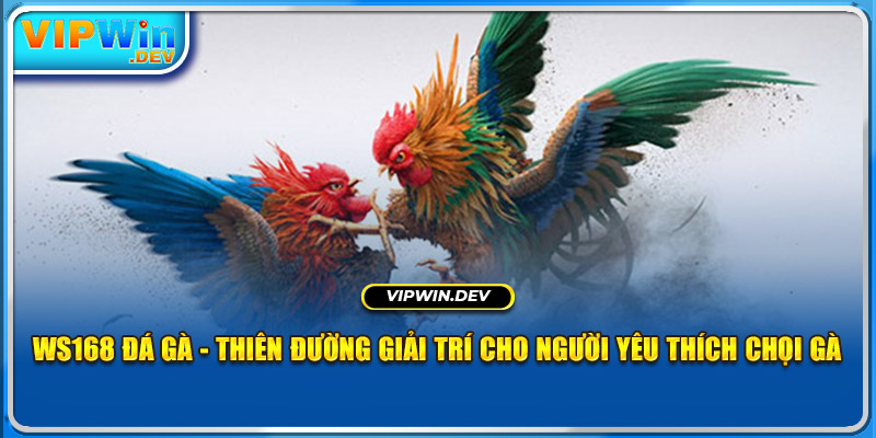 Ws168 Đá Gà - Thiên Đường Giải Trí Cho Người Yêu Thích Chọi Gà